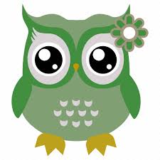 Animal Bird Owl Funny Owl Icon