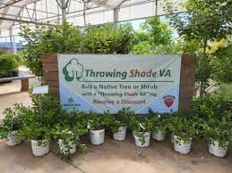 Throwing Shade Va Program Virginia