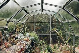 Enchanting Greenhouses