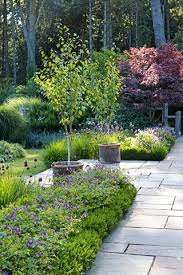 Best Trees For Small Gardens 10 Best