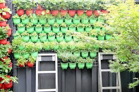 Small Spaces Gardening Renew