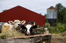 Usda S Climate Grants For Farms And