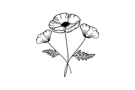 Poppy Flower Line Art Svg Cut File By