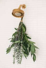 How To Add Eucalyptus In The Shower