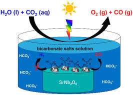 Role Of Bicarbonate Ions In Aqueous