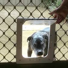 Screen Door With Pet Door Aussie Pet