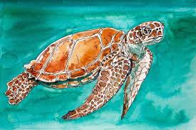 Swimming Sea Turtle Drawing By Melissa