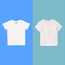 10 Best White T Shirts For Women 2024