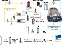 Indirect Calorimetry In Laboratory Mice