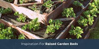 Inspiration For Your Raised Garden Beds