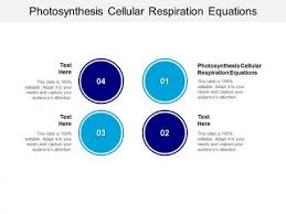 Cellular Respiration Vs Fermentation