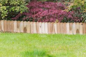 Domed Top Border Edging Forest Garden