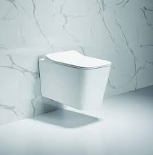 Soft Close White Verdure Tankless Wc