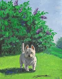 Stick Ryta West Highland Terrier