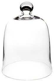 Plymor 8 5 X 11 Bell Jar Glass