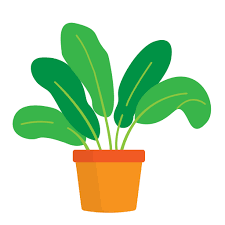 Plant Generic Flat Icon