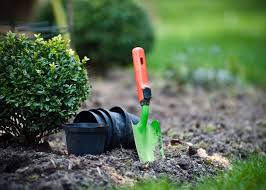 Top 10 Essential Gardening Tool Names