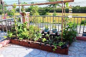 Cultivating Herb Plants Horticulture