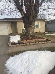 Need Help With Ideas Around My Tree