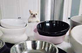 I Reviewed 9 Dog Bowls To Find The Best