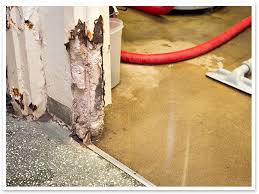 8 Quick Tips About Your Sump Pump