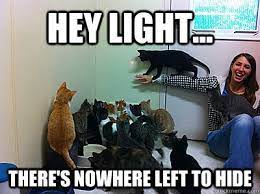 laser cats memes quickmeme