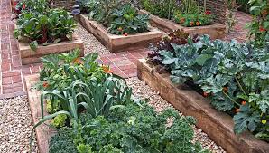 How To Build A Raised Garden The