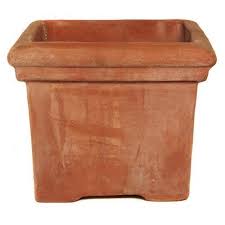 Terracini Baytree Square Pot Planter