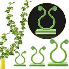 Plant Clips For Climbing Plants