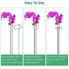 Plant Support Stakes Garden Flower