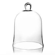 Glass Bell Cloche Display Dome Cover