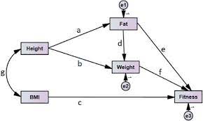 Confirmatory Factor Ysis With