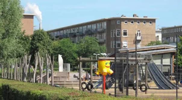 Bos en Lommer
