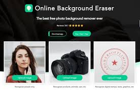 The program will remove the background from an image and display it in the browser: 5 Effective Passport Photo Background Editors 2021