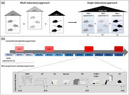 Check spelling or type a new query. Improving Reproducibility In Animal Research By Splitting The Study Population Into Several Mini Experiments Scientific Reports