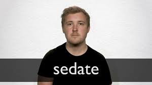 Sedate definition in American English | Collins English Dictionary