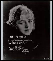 SCANDINAVIAN SILENT BEAUTY ANN FORREST 1921 WOODBURY A WISE FOOL PHOTO 682