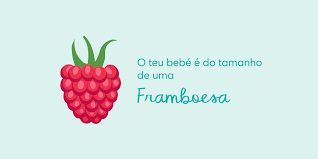 8 Semanas De Gravidez 8 Semanas Gestacao Pampers