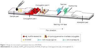 Please complete the form below with your specification details so that we can your complimentary cards, along with instructions on how to put your metal detector to the test, will be posted to the address you provide on the form. Full Text Biosensing Of Dna Oxidative Damage A Model Of Using Glucose Meter For Ijn