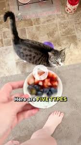 Froot Loops Multigrain Cereal, With Marshmallows, Sweetened, Family Size -  Fresh By Brookshire'S