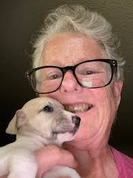 Glimmer has passed over the rainbow we will miss her very much