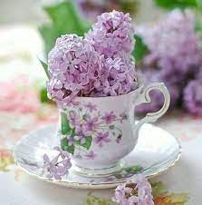 Lilacs In Fancy Teacup With Matching Violets On It Tea Party Garden Teacup Flowers Tea