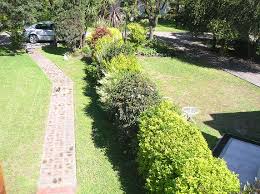 En esta guía aprenderás con 5 sencillos pasos cómo hacer un ensayo a partir de una pregunta o tema dado por tu profesor de colegio o universidad. Cerco Vivo Opciones Especies Y Plantas Mas Aptas Diseno Jardin Flor De Planta