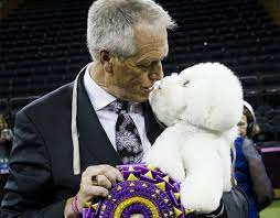 People salute the national anthem on day one of the competition. Westminster Dog Show 2018 Winner Pictures Bichon Frise Wins Best In Show World News Express Co Uk