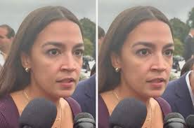 Nigel Sylvester's Next Air Jordan 4 Collab Is Only Being Released at One  Store