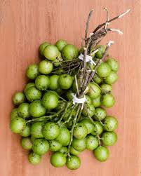 Image result for Melicoccus