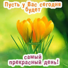хорошего дня прикольные картинки с добрым утром скачать бесплатно на телефон Kartinki S Dobrym Utrom I Horoshego Dnya Pozitivnye Citaty Otkrytki Milye Otkrytki