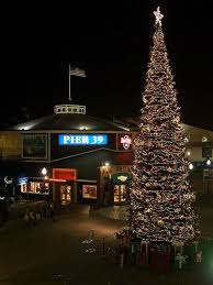 Pier 39 Holiday Tree San Francisco Holiday Pier 39 Night Usa San Francisco