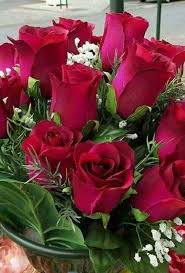 Baciare una rosa bianca in un sogno significa che bacia una donna temendo dio Pin Di Francelisa Ienke Su Flor Vasi Da Giardino Fiori Annuali Fiori