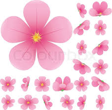 How to draw cherry blossoms on toned tan paper. Cherry Blossom Flowers Of Sakura Stock Vector Colourbox